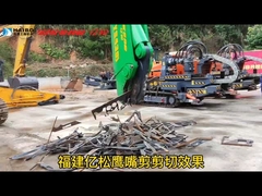 Tassere a becco d'aquila